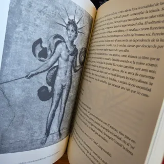 El libro rojo de Jung Bernardo Nante