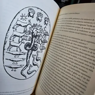 El libro rojo de Jung Bernardo Nante
