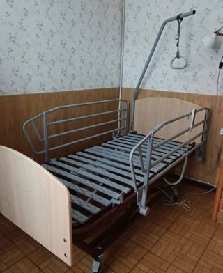 Cama articulada eléctrica con carro elevador