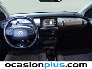 Citroen C4 Cactus BlueHDi 100 S&S C-Series 75 kW (102 CV)