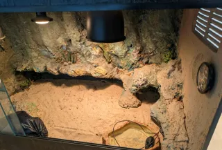 Terrario Desértico Reptiles 120x60x60 Equipado