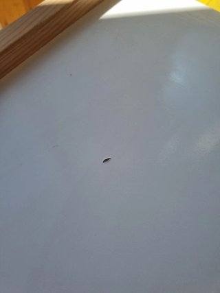 Tavolo e sgabello per bambini Flisat IKEA