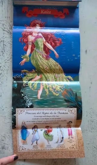 4 primers llibres "Princeses del regne fantasia"