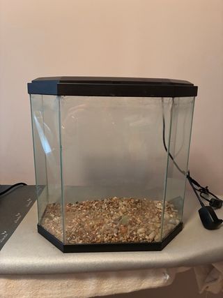 Acuario hexagonal con grava