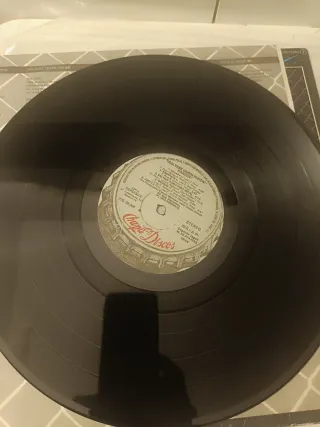 Vinilo Panzer Salvese Quien Pueda