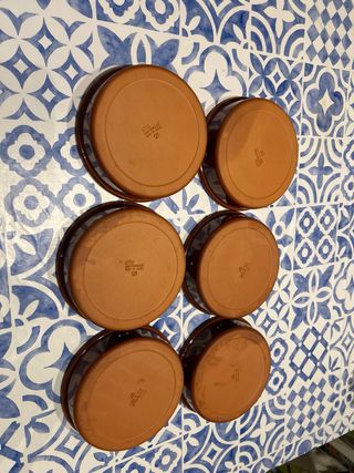 6 Terrine in terracotta