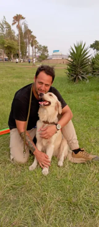 Paseos educativos y recreativos para perros