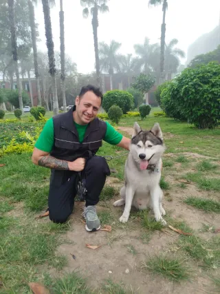 Paseos educativos y recreativos para perros