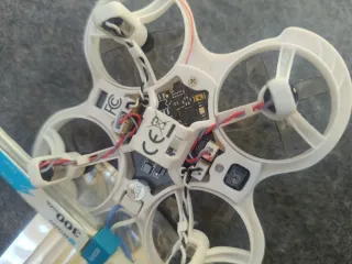 Cetrus betafv