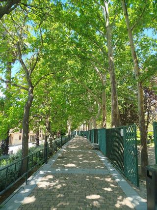 Terreno en venta en Griñón