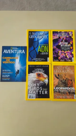 Lote revistas national geographic