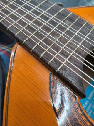 Bandurria Musical Emporium LEER BIEN