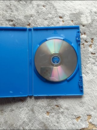 The Sims 2 PS2