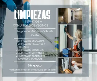 Limpieza profesional