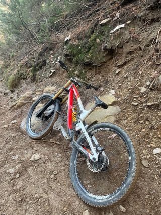 Saracen Madison URGE NEGOCIABLE