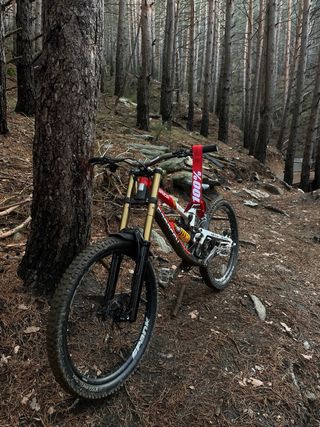 Saracen Madison URGE NEGOCIABLE