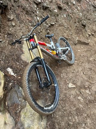 Saracen Madison URGE NEGOCIABLE