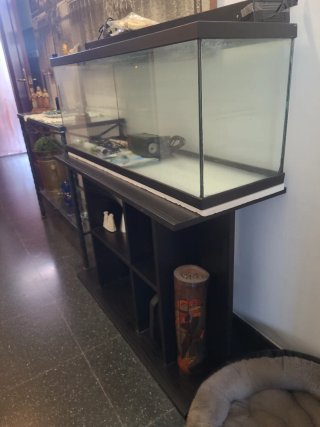 Acuario grande con tapa y luz