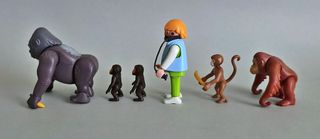 Playmobil Cuidadora Primates Zoo