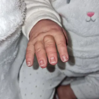 Bebé Reborn Kit Pickle