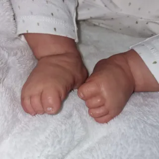 Bebé Reborn Kit Pickle