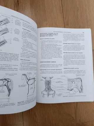 Libro embriología y anatomía veterinaria
