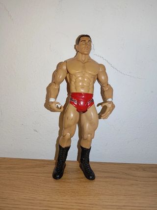 Lote 5 muñecos WWE Deluxe luchadores articulados