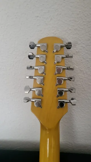 Guitarra Eléctrica 12 Cuerdas