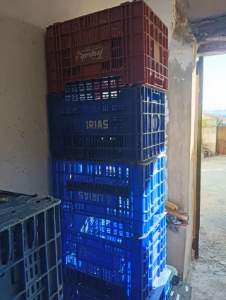 Cajas de fruta apilables (lote)