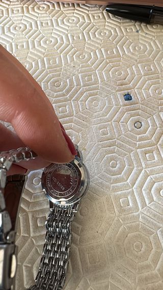 Orologio ESQ Argento