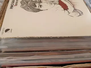 Pino Daniele - Terra Mia Vinile LP