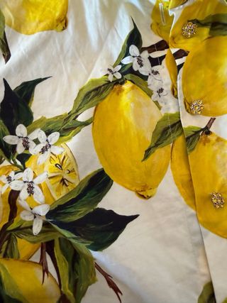 Dolce & Gabbana camisa