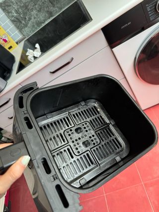 Cecotec Freidora Aire 9L Cecofry Duo