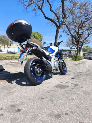 Moto Naked Blanca y Azul Suzuki Gladius  650