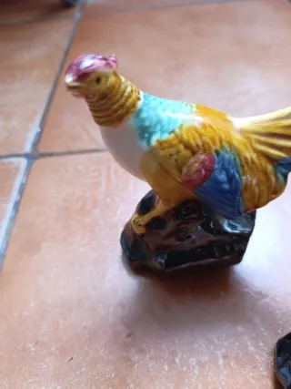 Pareja de Faisane
