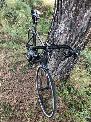 Cannondale Synapse Carbono |Ultegra | 8kg | 58 XL