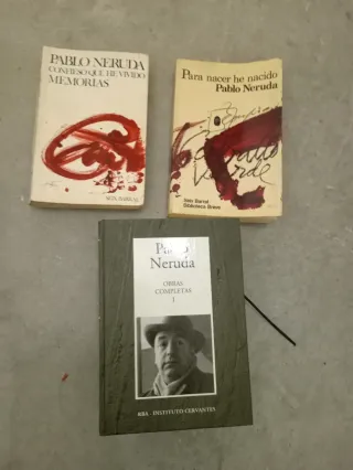Lote Pablo Neruda