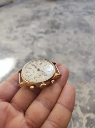 Reloj Favor Cronógrafo