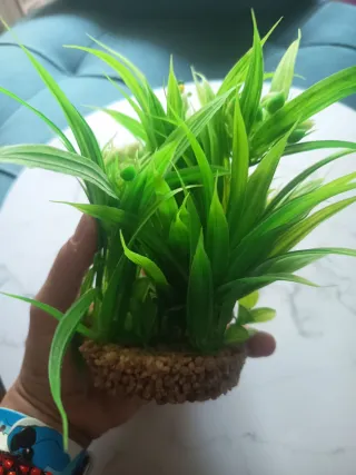 planta plástico pecera
