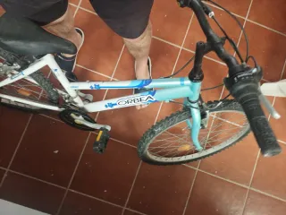Bicicleta Orbea Infantil