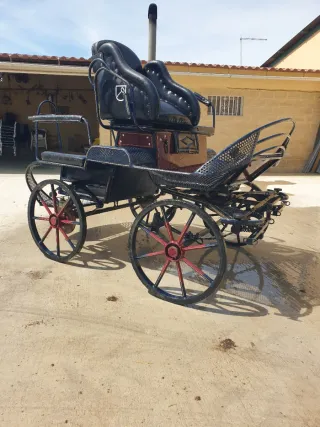 Coche de caballos clásico
