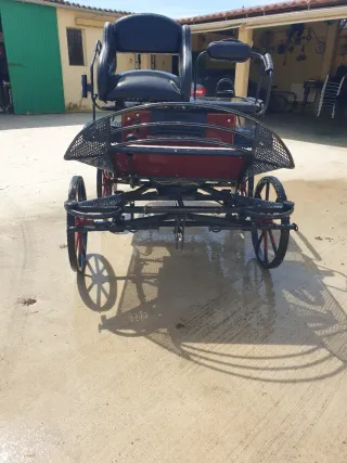 Coche de caballos clásico