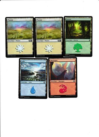 Magic the Gathering - 5 Terre Foil