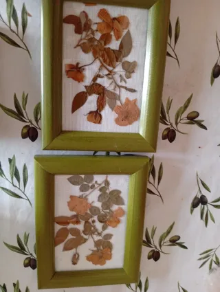 Cuadro Flores Secas Hecho a Mano