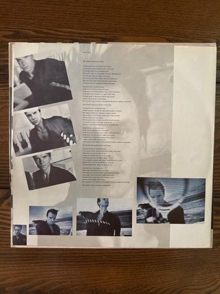 Sting - The Dream of the Blue Turtles Vinilo