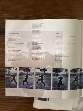 Sting - The Dream of the Blue Turtles Vinilo