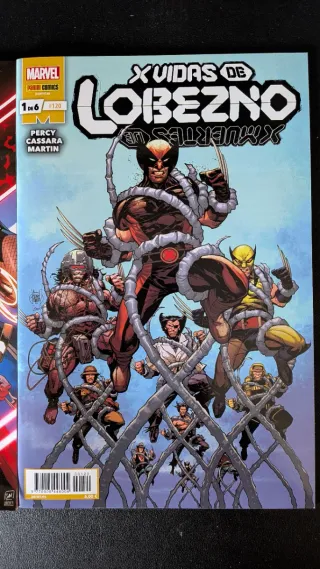 Lote 2 comics. Allí in special y x vidas lobezno