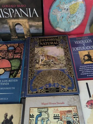 Libros de Historia variados 10€ unidad