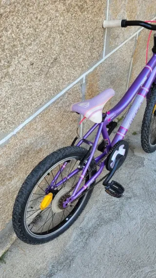 Bicicleta junior BERG