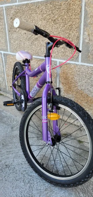 Bicicleta junior BERG